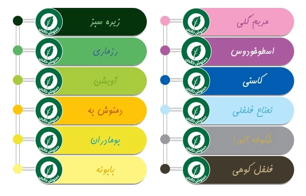 رنگین کمان مثلثی نیوشا (۱۲ عددی)