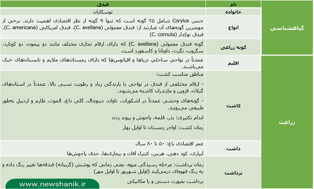 روغن فندق کاژان نیوشا