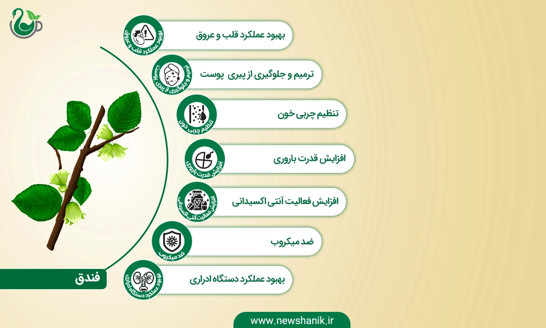 روغن فندق کاژان نیوشا